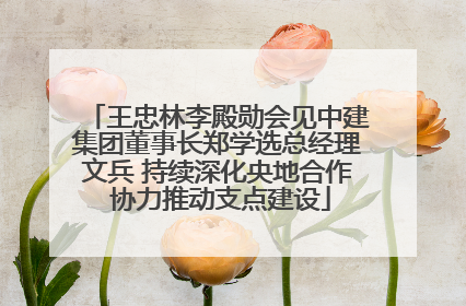 王忠林李殿勋会见中建集团董事长郑学选总经理文兵 持续深化央地合作 协力推动支点建设